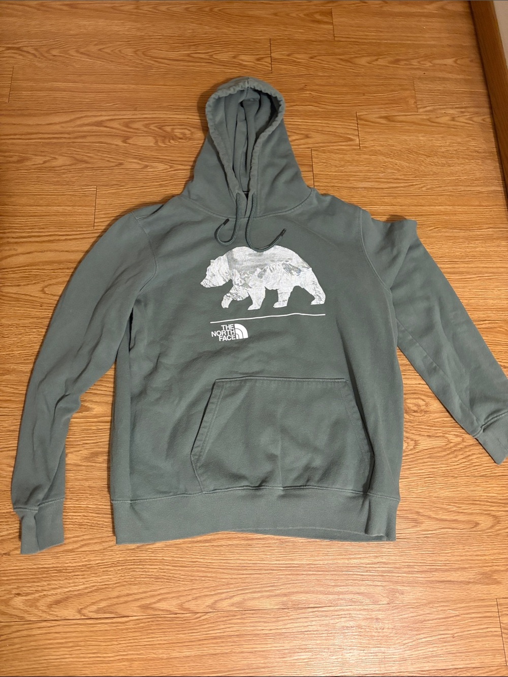 The North Face Men's Sage Green Bear Graphic Hoodie
